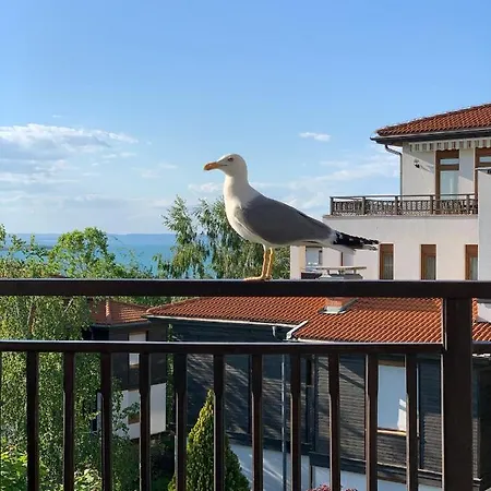 Apartman Santa Marina Sea Vew *
